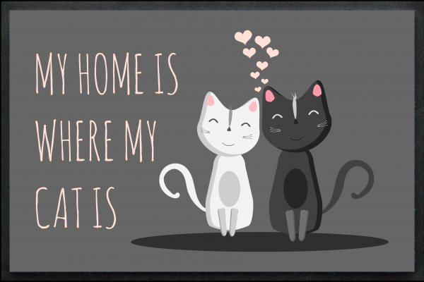 My Home is where my cat is